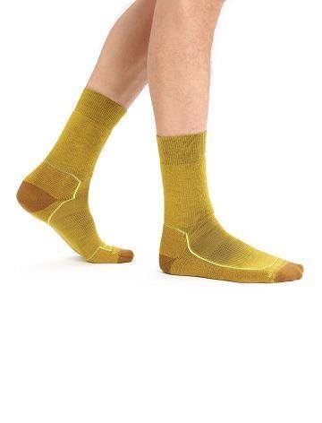 Silent Gold / Clove Men's Icebreaker Merino Hike+ Medium Crew Socks | USA 1022ILHS